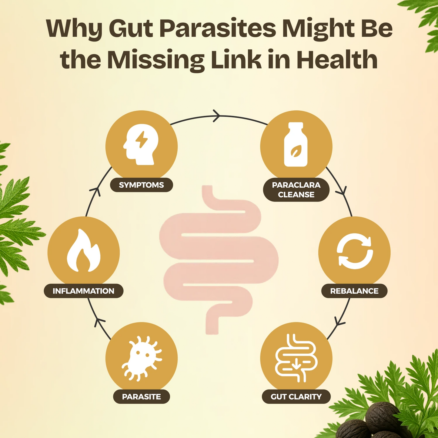 Parasite Cleanser