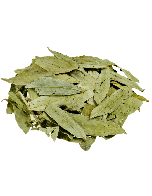 Senna Leaf