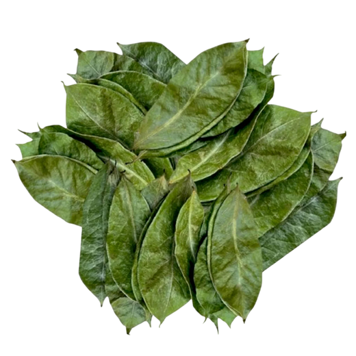 Soursop Leaf