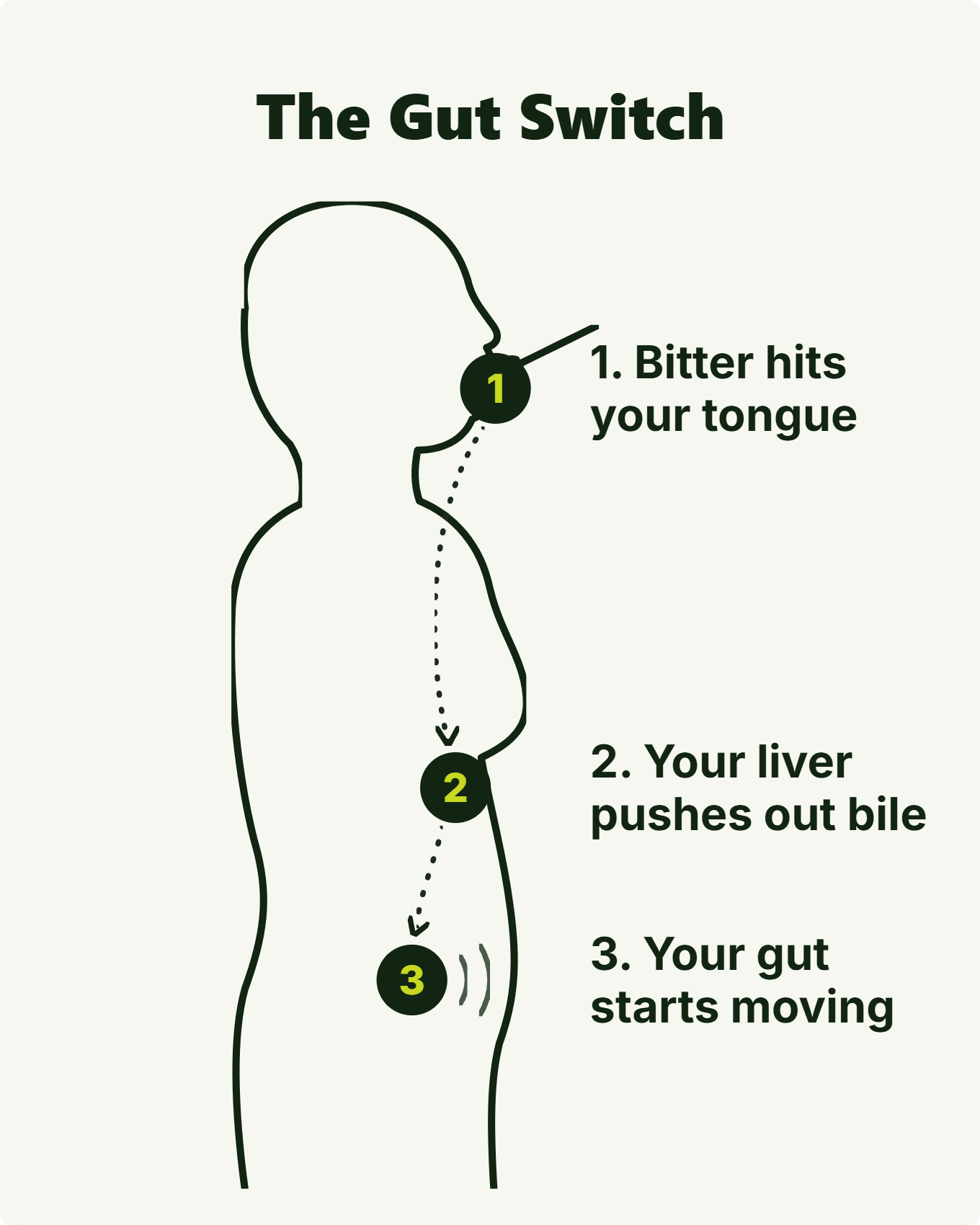 The Gut Switch: 1. Bitter hits your tongue. 2. Your liver pushes out bile. 3. Your gut starts moving.