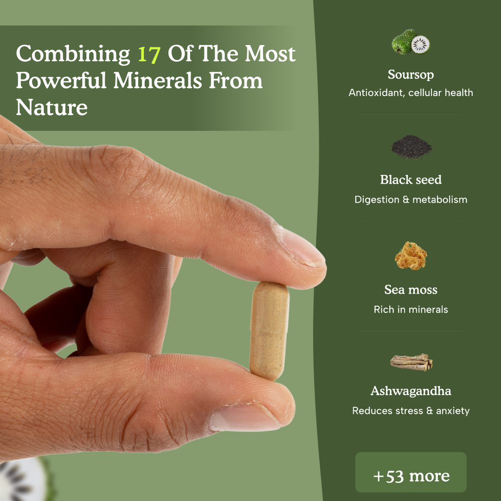 17-in-1 Daily Herbal Blend
