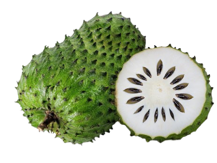 Soursop