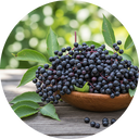 Elderberry