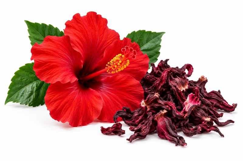 Hibiscus