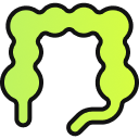 You'll flush gut buildup and see your bloating go down within 2-3 days: