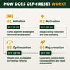 GLP-1 Reset