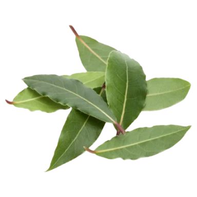 Bay Leaves