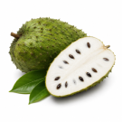 Soursop