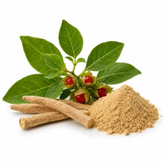 Sensoril® Ashwagandha