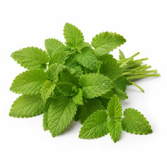 Lemon Balm