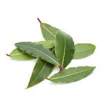 Bay Leaf