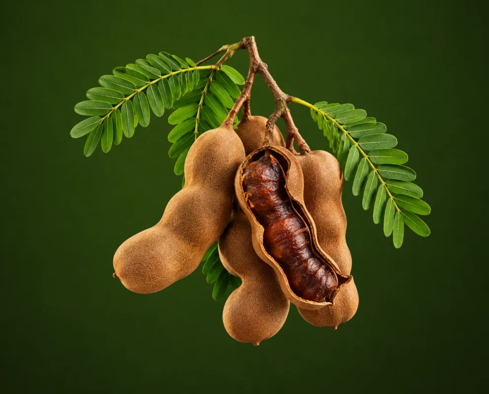 Tamarind