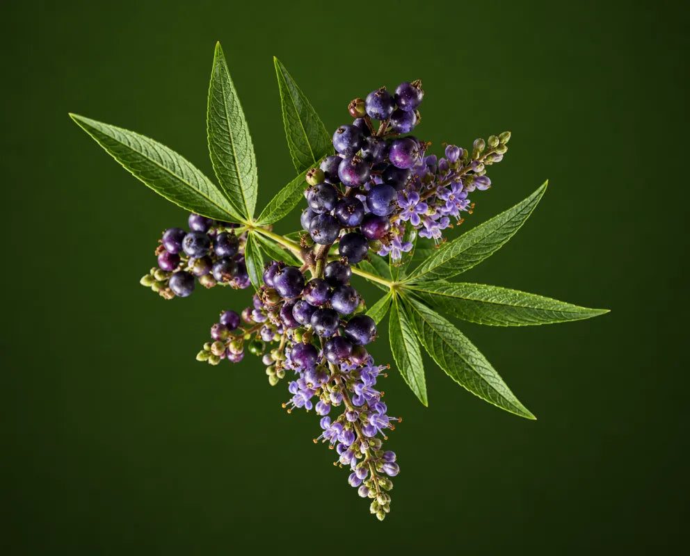 Vitex