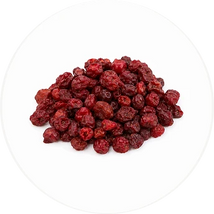 Schisandra Berry