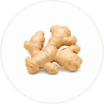 Ginger Root
