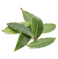 Bay Leaves